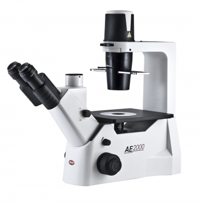 Microscopio Rovesciato