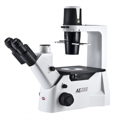Microscopio Rovesciato Microscopio Rovesciato